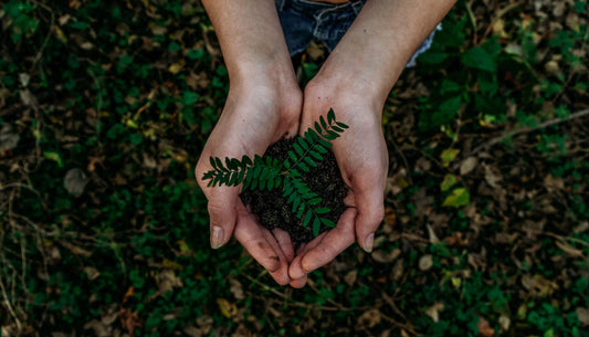 ¿Cómo cuidar el medio ambiente?