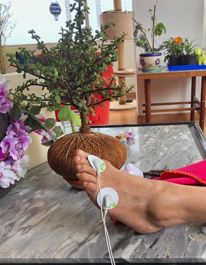 Parches Esenciales (20 parches) - Polo a Tierra